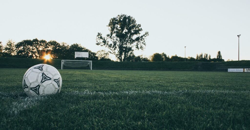 Soccer ball on field at sunrise, serene landscape with goalpost in background.